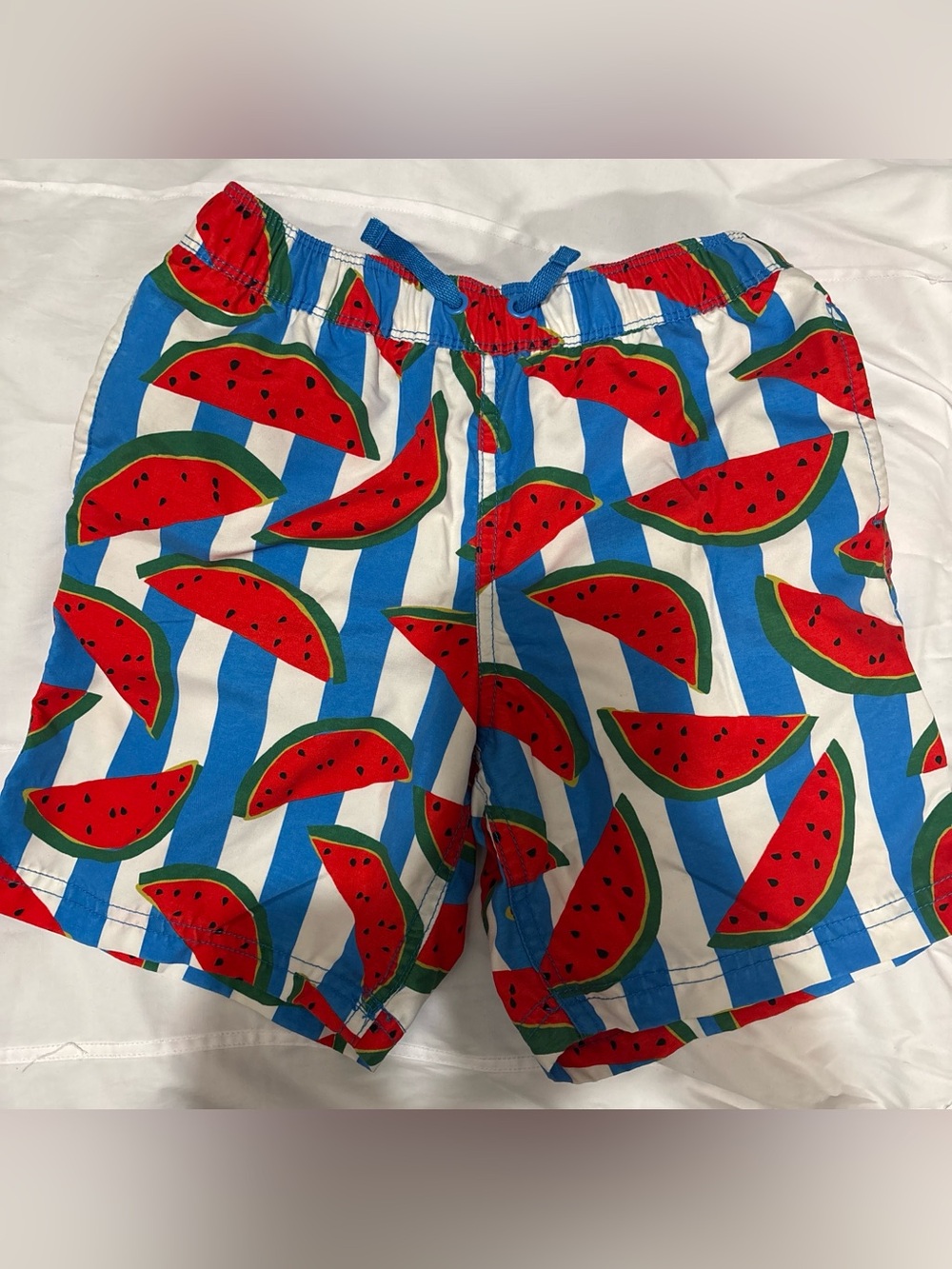 Hanna Andersson Multicolor Striped Watermelon Swim Boys Shorts